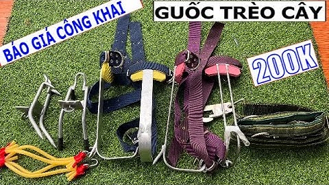 Báo giá công khai | 3 mẫu guốc trèo cây | dụng cụ trèo cây | dây đai an toàn giá rẻ bán chạy nhất