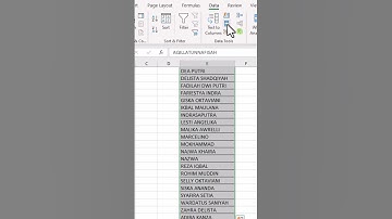 Cara cepat hapus data duplikat #exceltips #belajarexcel #belajarexcelpemula