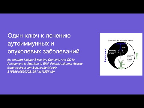 Один ключ к лечению аутоиммунных и опухолевых заболеваний