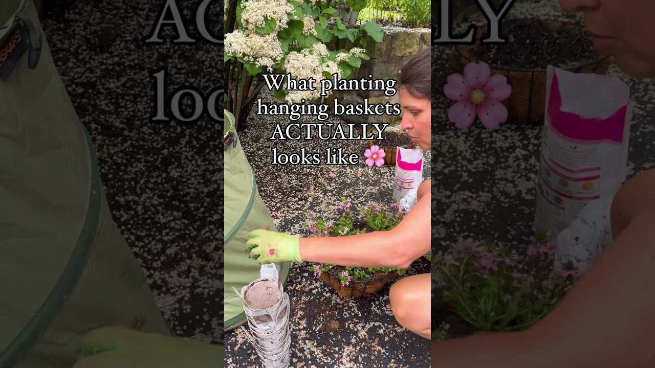 Fan Flower Whirlwind Pink by 