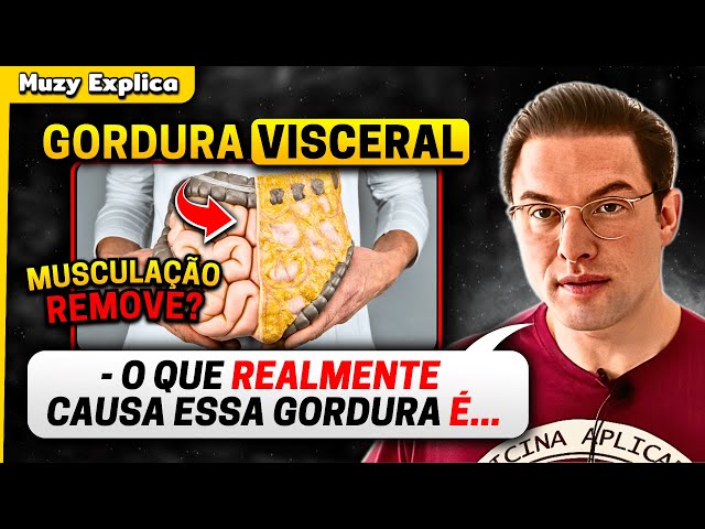 O QUE CAUSA GORDURA VISCERAL? COMO ELIMINAR? | Muzy Explica class=