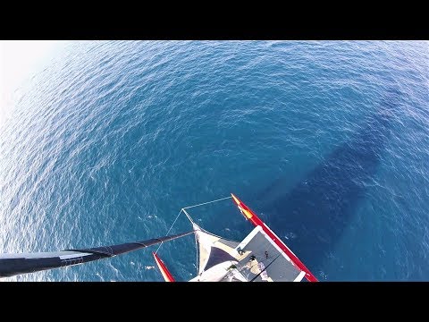 more-speed,-more-impact:-delivery-of-a-racing-trimaran-goes-wrong---ep55---the-sailing-frenchman