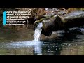 Fireworks and a Fountain of Life: A Story of Survival