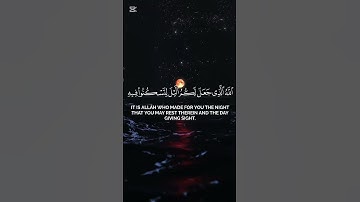 سورة غافر | القارئ ياسر الدوسري #قرآن