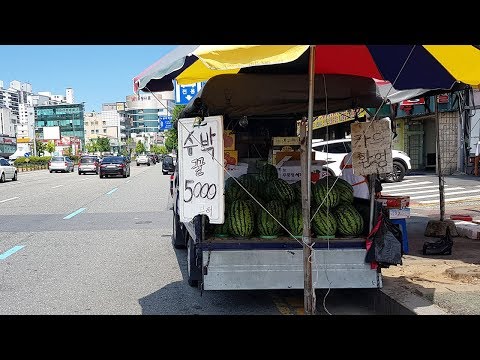 5000원짜리 <strong>수박은</strong> 얼마에 떼 올까?