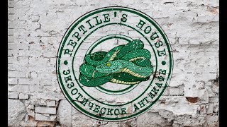 Дом Рептилий | Reptile&#39;s House - экзотическое антикафе и зоомагазин