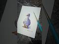 Duck in Watercolour 🤍💜😍#youtubeshorts #whiteduck#viralvideo #watercolour