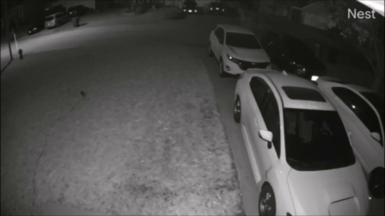 Round Lake Park car burglary caught on security camera - YouTube