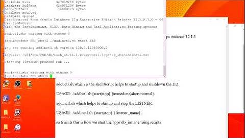 L1 Activity for APPS DBA r12.1 how to STARTUP and SHUT DOWN