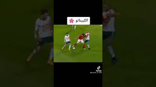 مضروب بالكف