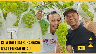 Dig to the roots of this Balikpapan unemployment expert's knowledge | PART I Mr. Imam Lembah Hijau
