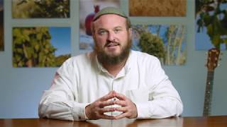 Rosh Chodesh Elul - Be Here Now - Rabbi Shlomo Katz Rosh Chodesh Elul - Be Here Now - Rabbi Shlomo Katz