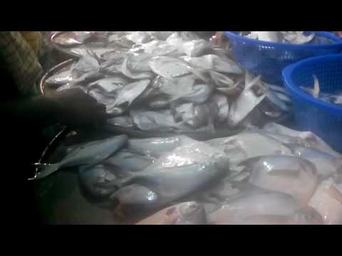 A raft near Jamaica is actually a floating seafood restaurant from YouTube · High Definition · Duration: 1 minutes 31 seconds · 27,000+ views · uploaded on 3/1/2017 · uploaded by INSIDER A raft near Jamaica is actually a floating seafood restaurant from YouTube · High Definition · Duration: 1 minutes 31 seconds · 27,000+ views · uploaded on 3/1/2017 · uploaded by INSIDER