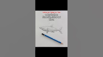How to Draw a Shark (Easy Drawing Tutorial). Please subscribe! #shorts #drawingtutorial