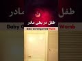 رشد طفل در بطن مادر بارداری Pregnancy