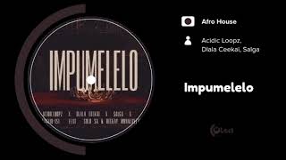 Acidic Loopz, Dlala Ceekai, Salga - Impumelelo (ft. Solo SA, Beekay Monalayzzar) [Afro House]