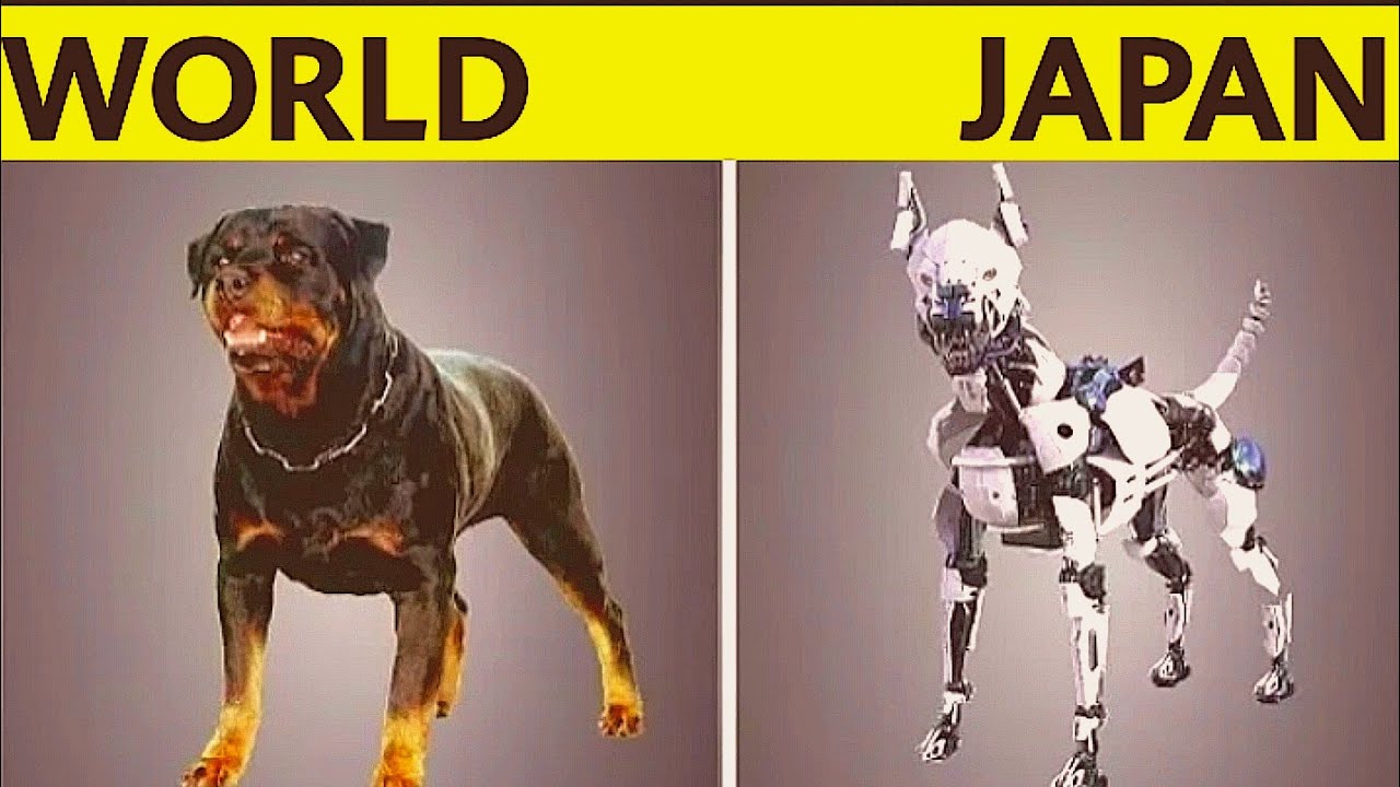 कैसे जापान दुनिया से अलग है /unique things learn from Japan science and technology /India vs Japan