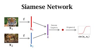 FewShot Learning (2/3): Siamese Networks