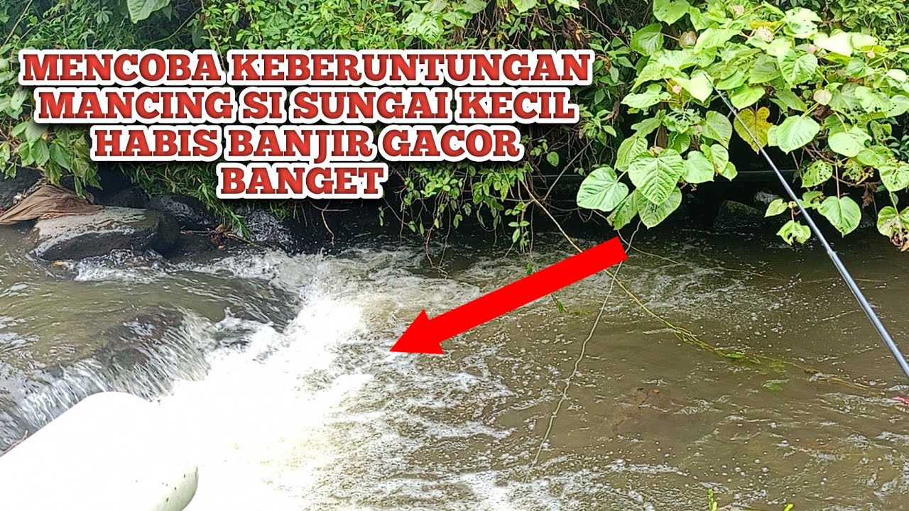 MENCOBA KEBERUNTUNGAN MANCING SAAT BANJIR DATANG ⁉️TERNYATA GACOR BANGET IKANNYA MANCING SAAT BANJIR