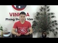 Tử Vi Tân Dậu 1981 - Hết Dịch THẦN TÀI Gõ Cửa Cả Đời Giàu Sang Phú Qúy