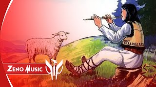 Alexandru Bradatan ✘ Zeno Music - Sunt din Bucovina ( Bootleg ) 🇷🇴 Zeno Music