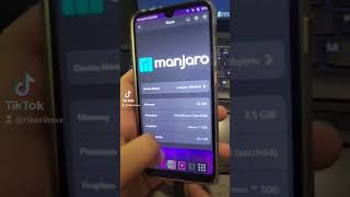 Manjaro Mobile funcionando em um Smartphone