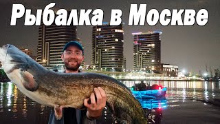 Рыбалка в МОСКВЕ. Когда все через ж.пу