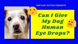 can i put human moisturizing eye drops on my dog