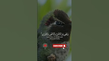 #قران_كريم #اكسبلور #quran #دويتو #آيات #راحة_نفسية #قرآن #duet #quranicverse #سورة #قرآن #المنشاوي