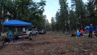 Time lapse to the evening. Apache Sitgreaves National Forest, AZ. by BiologySoon 35 views 3 years ago 23 seconds