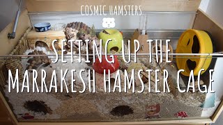 Setting Up The Marrakesh Terrarium Hamster Cage | Cosmic Hamsters