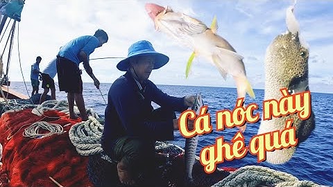 Ngư Phủ Lại Câu Trúng Ổ Cá Nhồng Nữa | Đánh Cá 2025 | Tập 45 | Sóng Biển Hứa Đông