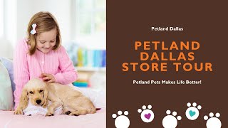 Petland Dallas Store Tour