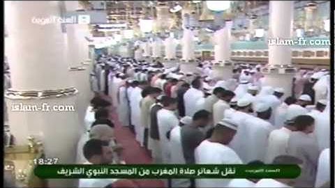 ما تيسر من سورة المجادلة - صلاح البدير