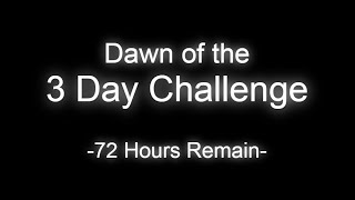 the 3 Day Challenge Run | Majora's Mask