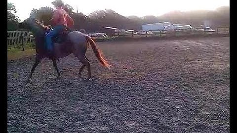 Buddy Sour horse With Mike Hughes, Auburn California