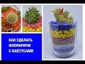 # Флорариум  Композиции с кактусами