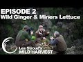 Survivorman | Les Stroud's Wild Harvest | Season 1 | Episode 2 | Wild Ginger and Miners Lettuce