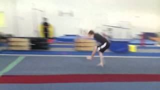 Full twisting double pike