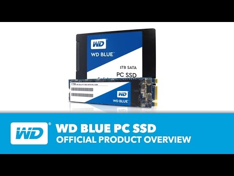WD Blue SSD | Official Product Overview