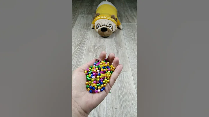 📿 🐕 Reverse Video ASMR #marblerunandmore