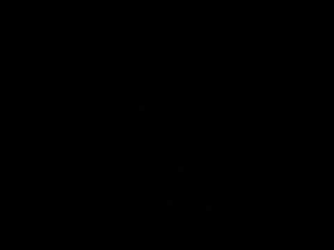 WEGA اغنيه كلام فرسان