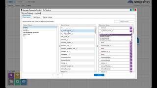 How to Manage Salesforce Migration Datasets with Snapshot