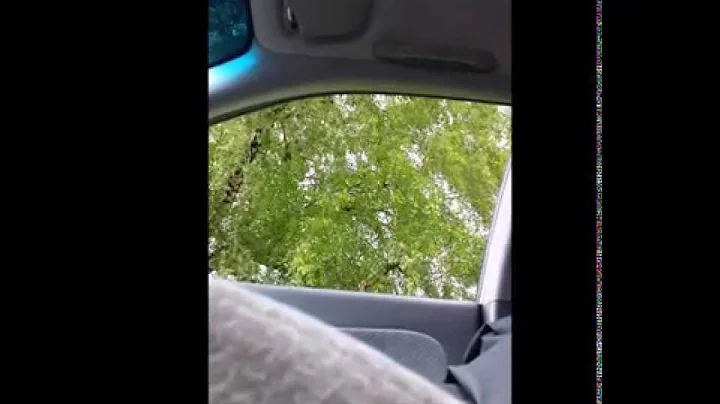 Vancouver Police Officer Kelly Gibson #1286 Tries ...