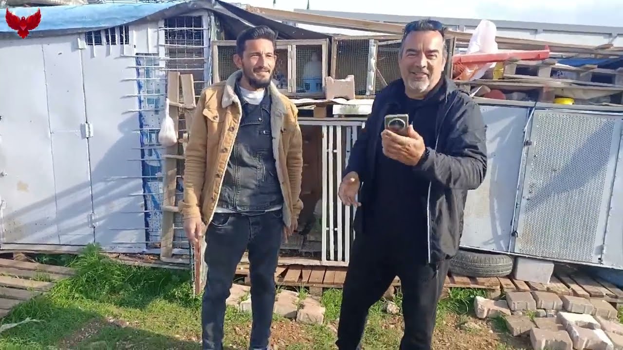 KUPAYA  PEŞ PEŞE 2 GÜVERCİN UÇURDU ORTAM GERİLDİ SONUÇLAR ENTERESAN  İSTENDİĞİ GİBİ OLMADI