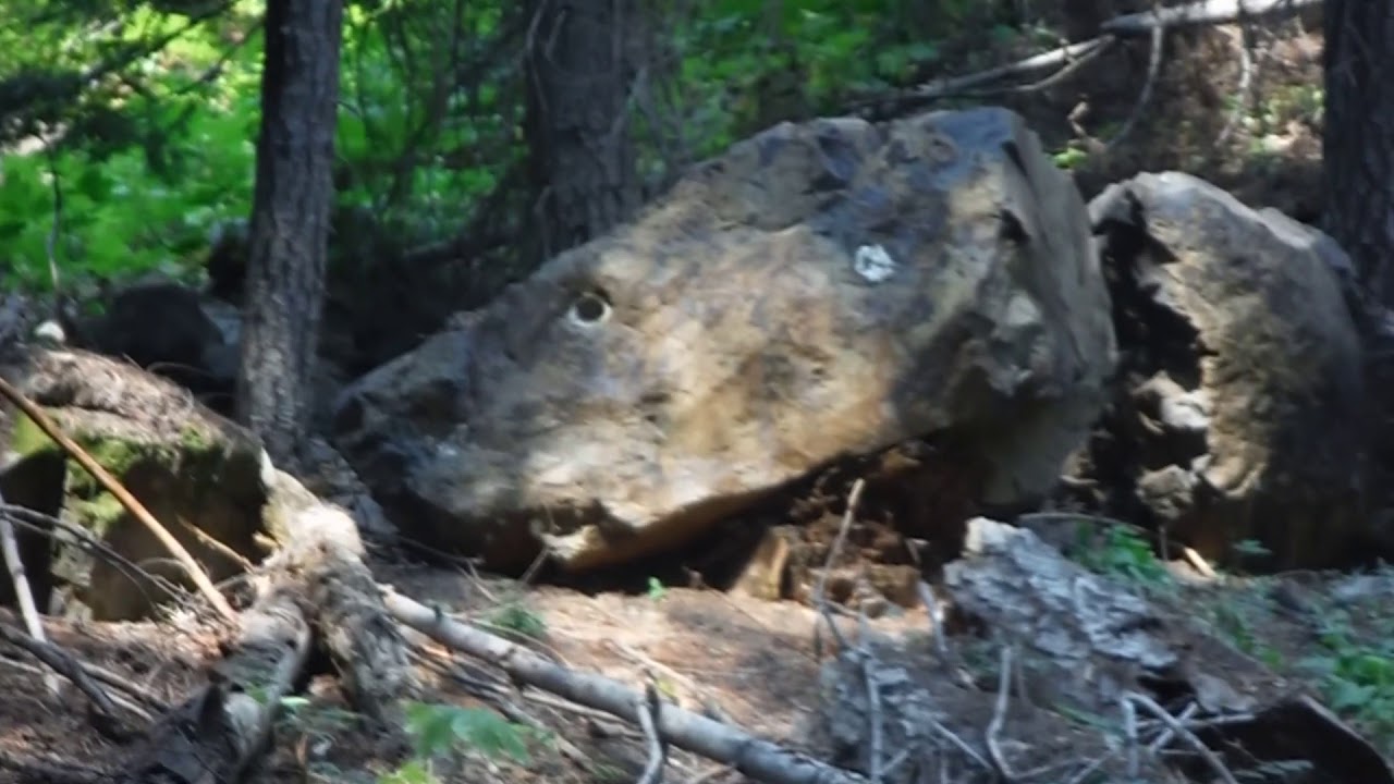 Agate and Geode Hunting on Red Top YouTube