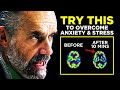 Overcome Anxiety Stress And Fear Motivation by Jordan Peterson 2021