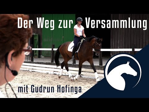 Schritt für Schritt zum Außengalopp?| Lastaufnahme verbessern | ClipMyHorse.TV Academy ?|