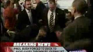 Shoes Tribute To Bush