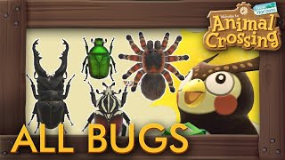 Animal Crossing New Horizons - What Happens When You Catch All Bugs